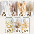 Luxury Dried Pampas Grass Bouquet